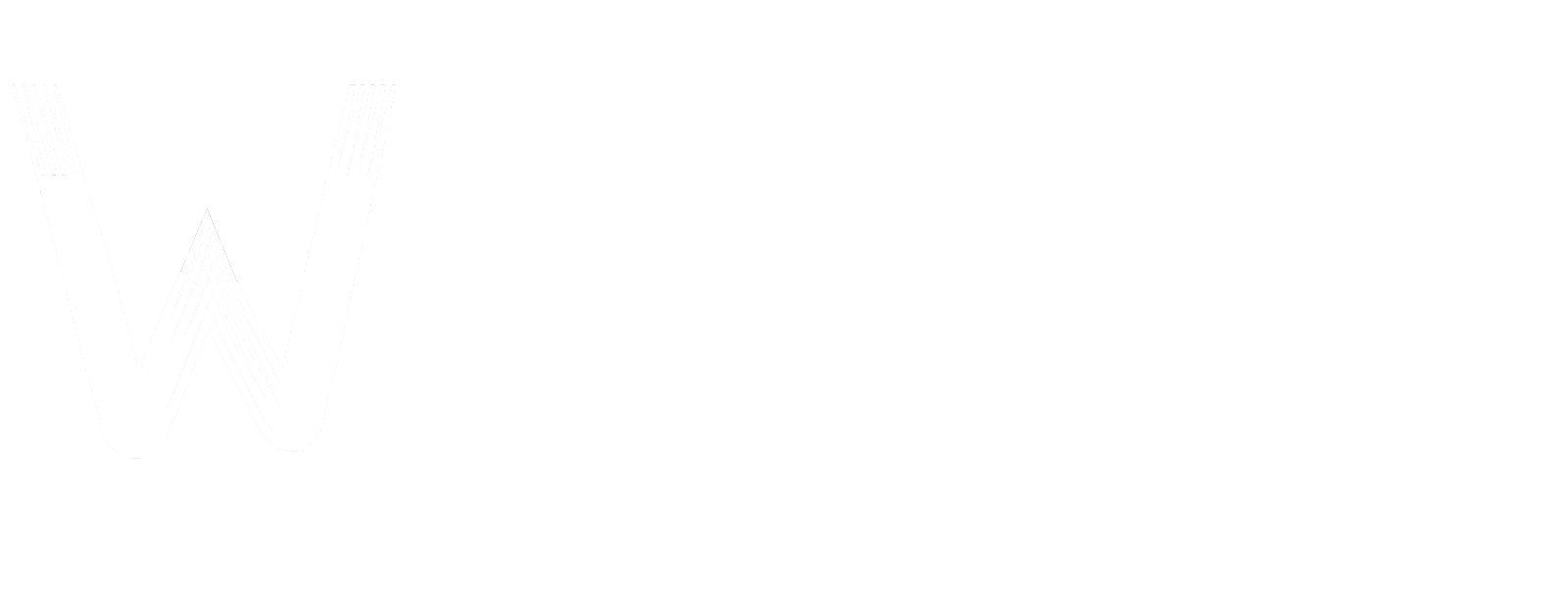 Wunyi Logo